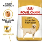 Royal Canin Labrador Retriever Adult