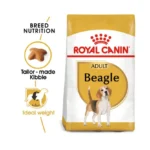 Royal Canin Beagle